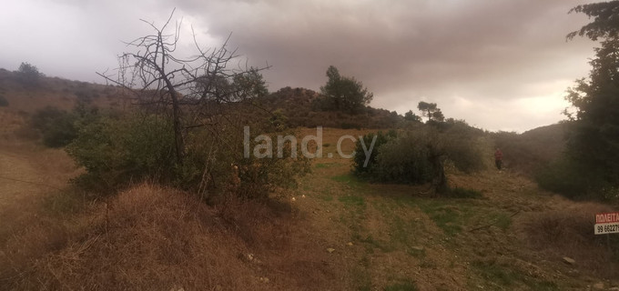 Baugebiet in Limassol zu verkaufen