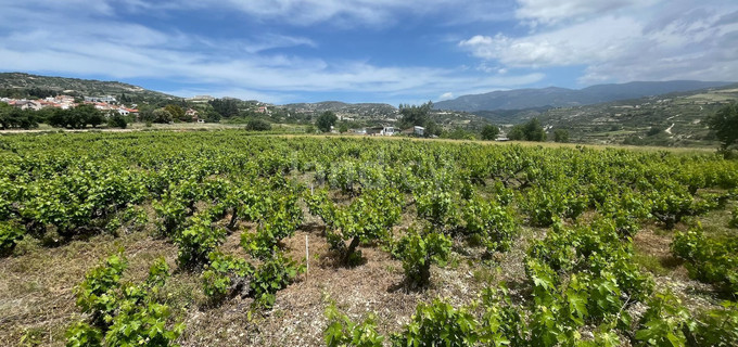 Residential plot for sale in Limassol