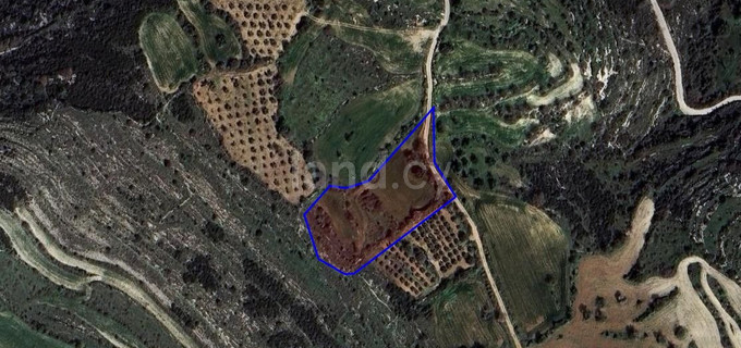 Terrain agricole à vendre à Paphos