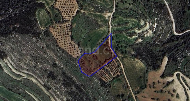 Pole rolne na sprzedaż w Paphos