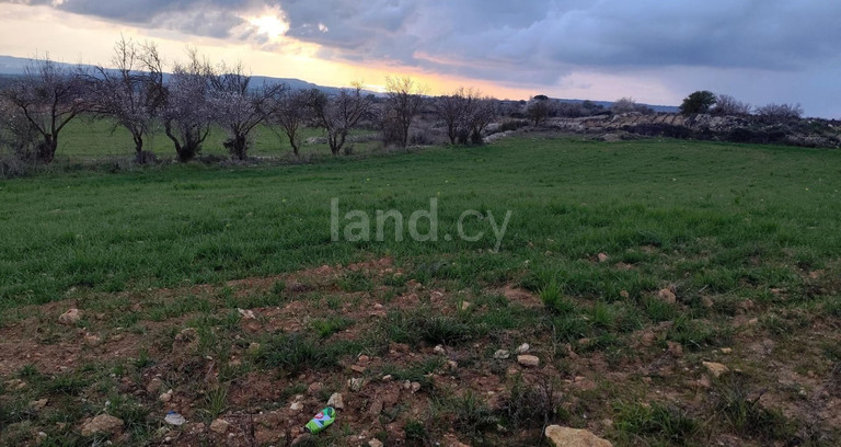 Αγροτικό αγροτεμάχιο προς πώληση - Λεμεσός