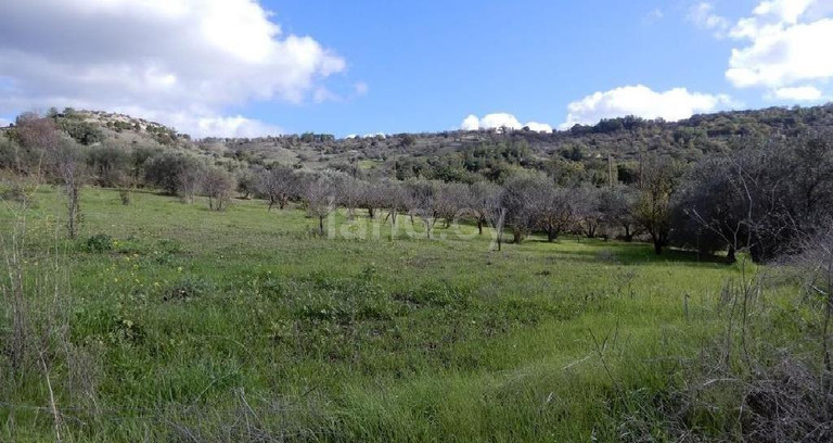Αγροτικό αγροτεμάχιο προς πώληση - Πάφος