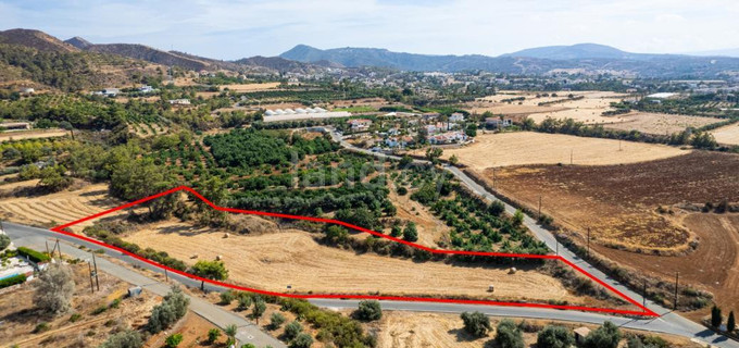 Touristic field for sale in Paphos