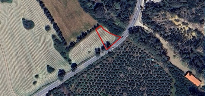 Agricultural field for sale in Paphos