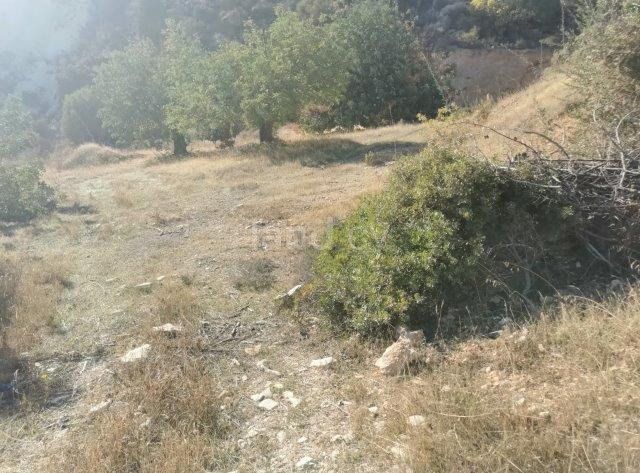 Działka na sprzedaż w Limassol