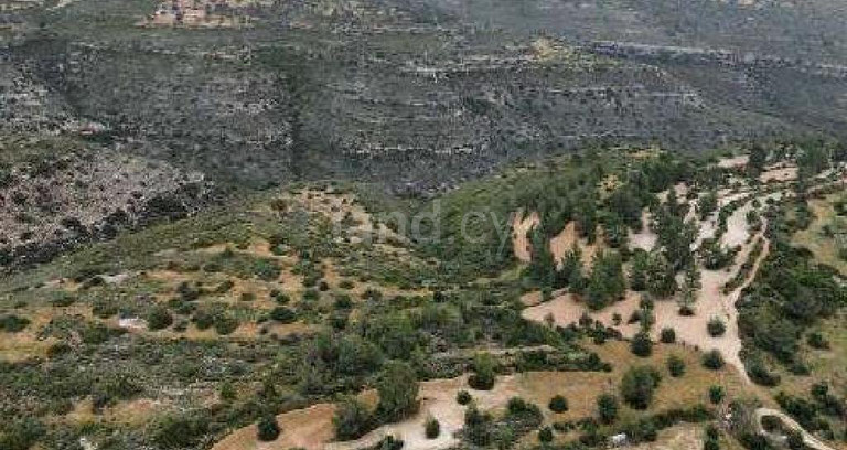 Field for sale in Limassol