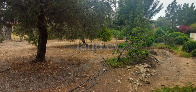 Residential field for sale in Paphos