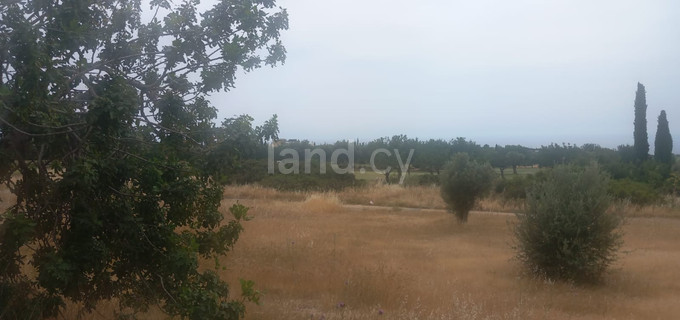 Residential field for sale in Paphos