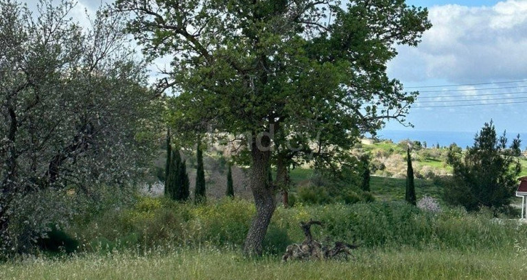 Działka mieszkaniowa na sprzedaż w Paphos