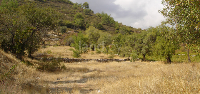 Residential plot for sale in Limassol