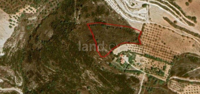 Landwirtschaftliches Baugebiet in Paphos zu verkaufen
