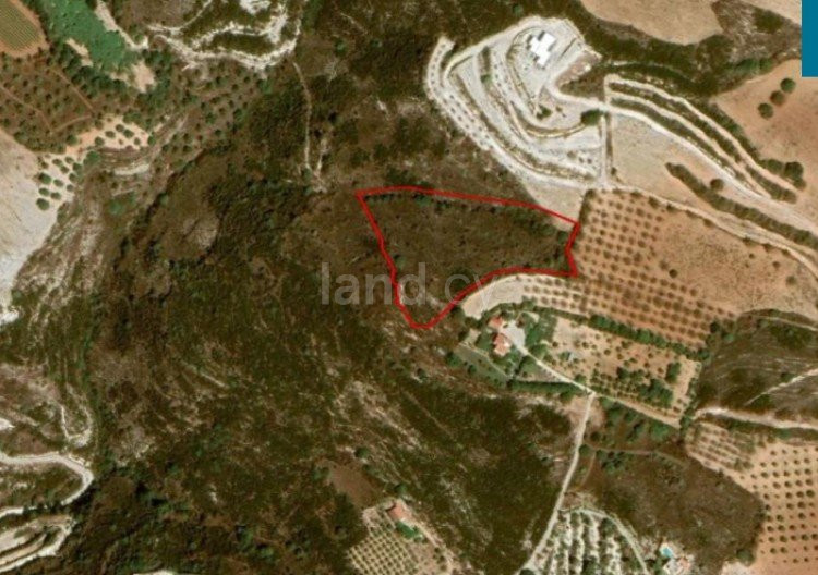 Agricultural field for sale in Paphos