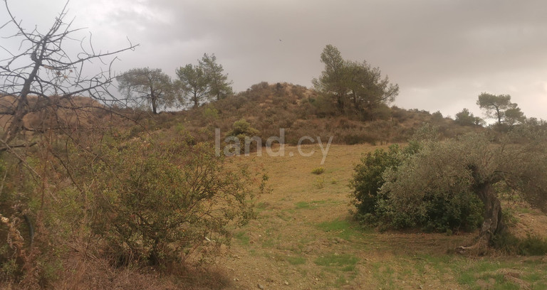 Campo a la venta en Limassol