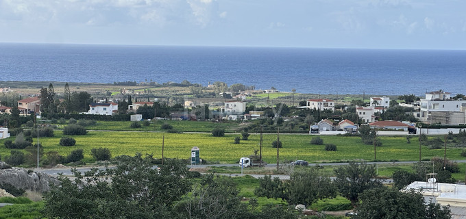 Field for sale in Paphos