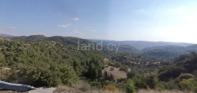 Agricultural field for sale in Paphos