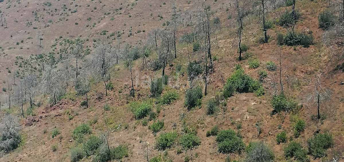 Campo a la venta en Limassol