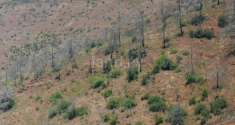Campo a la venta en Limassol