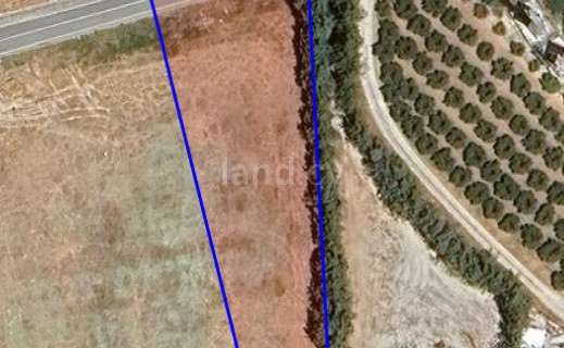 Residential field for sale in Paphos
