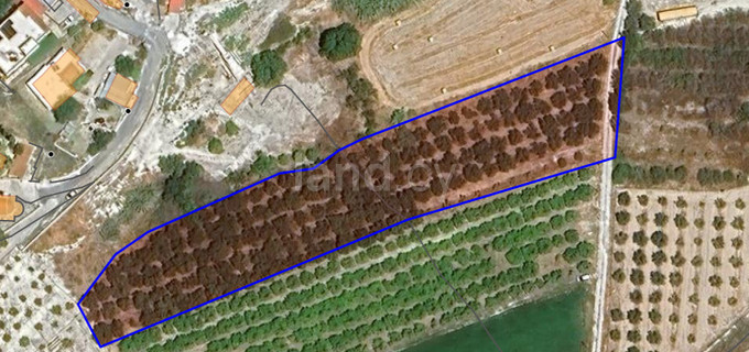 Residential field for sale in Paphos