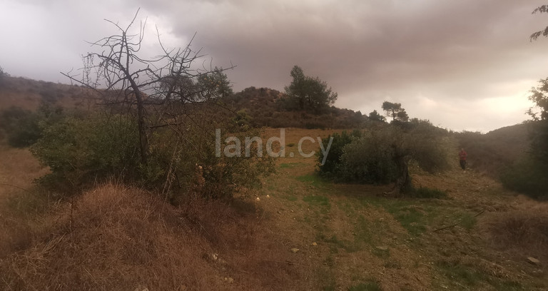 Baugebiet in Limassol zu verkaufen