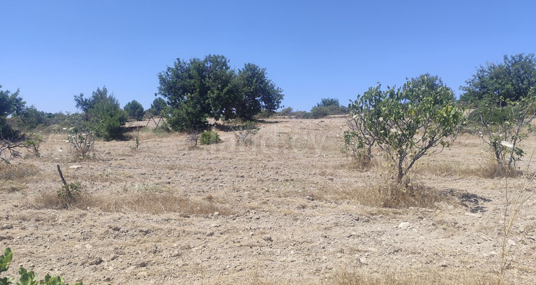 Campo a la venta en Limassol