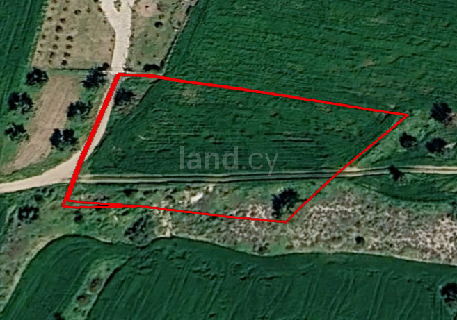 Campo agrícola a la venta en Larnaca