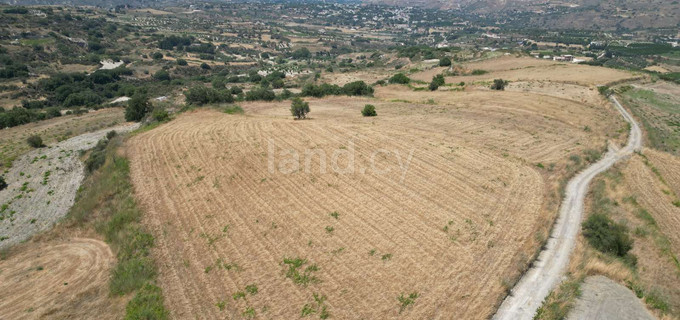 Landwirtschaftliches Baugebiet in Paphos zu verkaufen