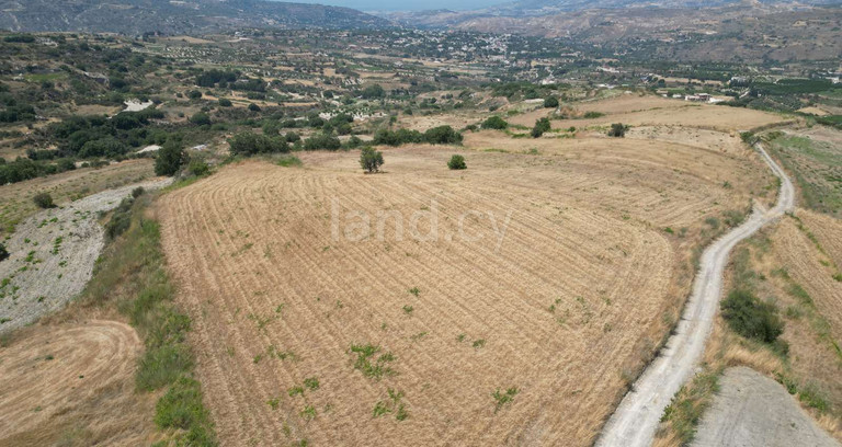Pole rolne na sprzedaż w Paphos