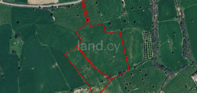 Plot for sale in Paphos