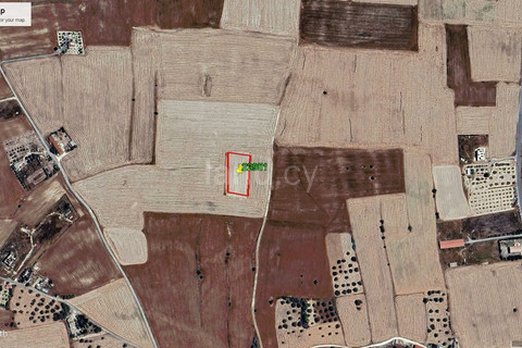 Agricultural field for sale in Larnaca