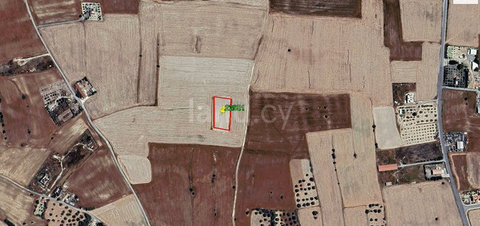 Campo agrícola a la venta en Larnaca