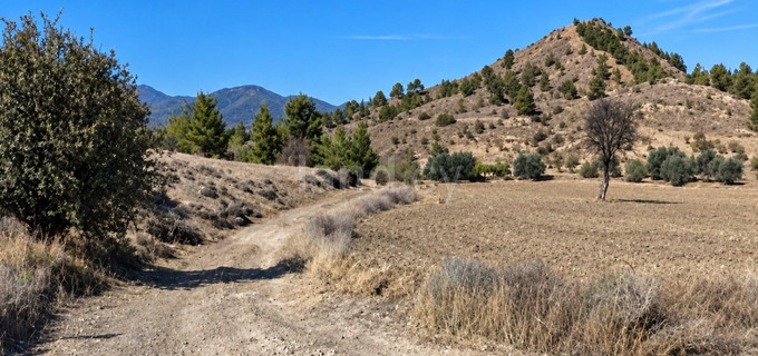 Agricultural field for sale in Nicosia