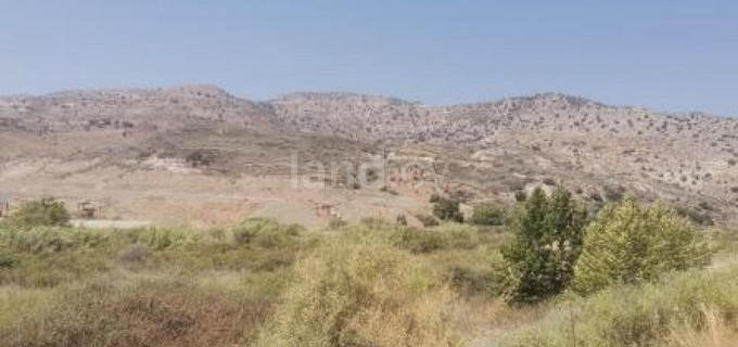 Αγροτικό αγροτεμάχιο προς πώληση - Πάφος