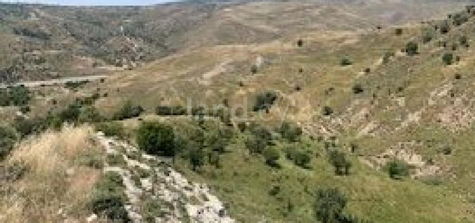 Agricultural field for sale in Paphos