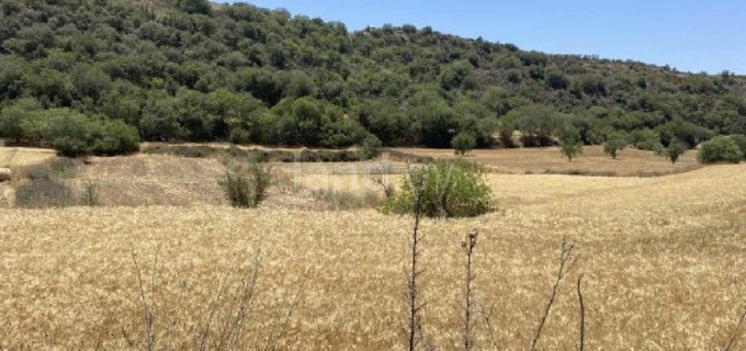 Campo agrícola a la venta en Paphos