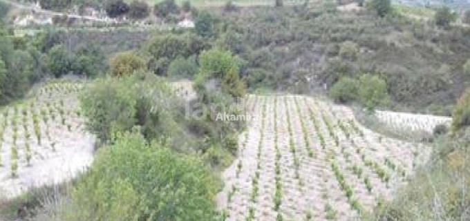 Landwirtschaftliches Baugebiet in Paphos zu verkaufen