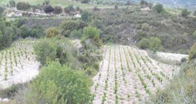Agricultural field for sale in Paphos