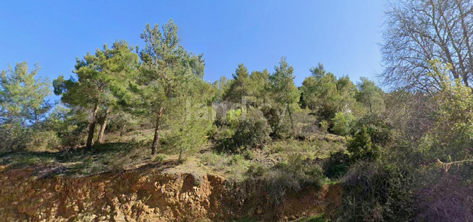 Campo agrícola a la venta en Nicosia
