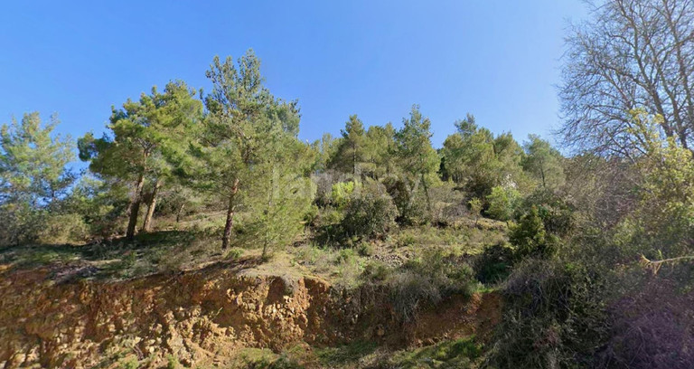 Agricultural field for sale in Nicosia