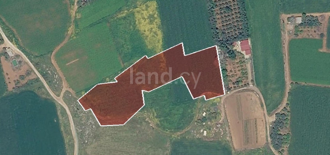Campo agrícola a la venta en Frenaros