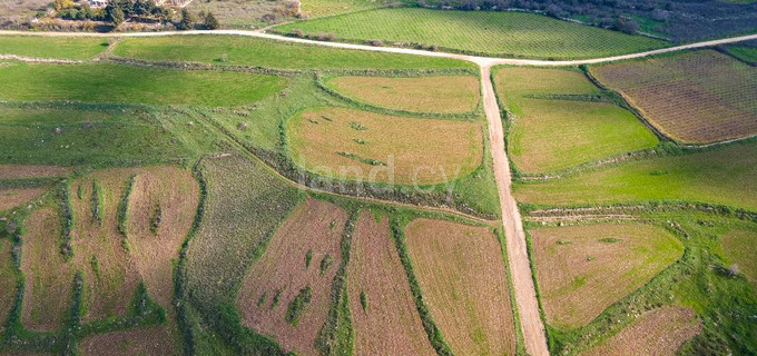 Pole turystyczne na sprzedaż w Paphos