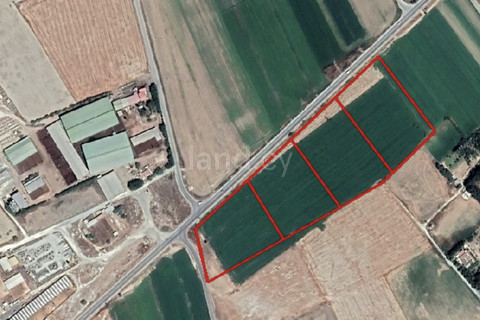 Field for sale in Larnaca