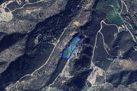 Agricultural field for sale in Larnaca