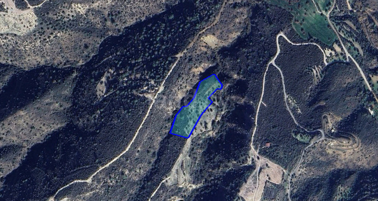 Agricultural field for sale in Larnaca