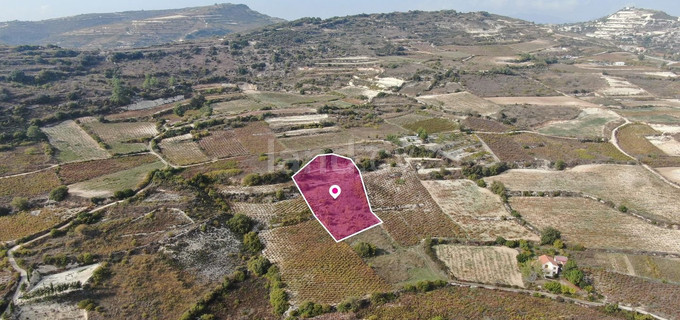 Field for sale in Limassol