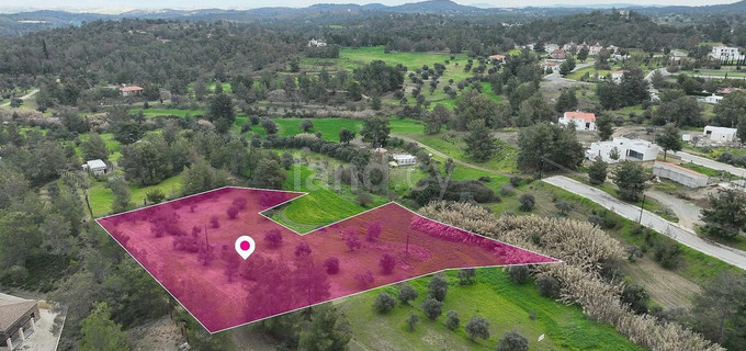 Field for sale in Nicosia