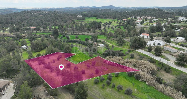 Field for sale in Nicosia