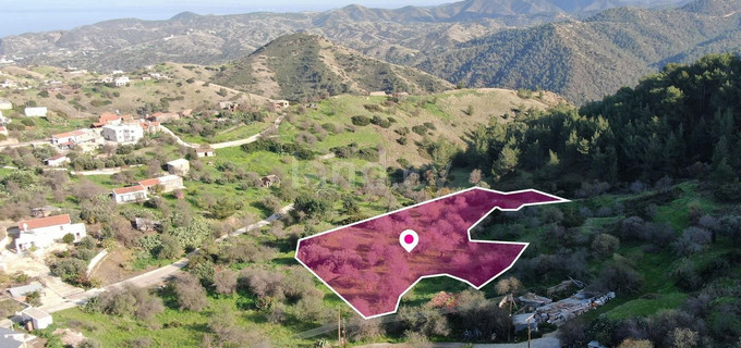 Field for sale in Nicosia