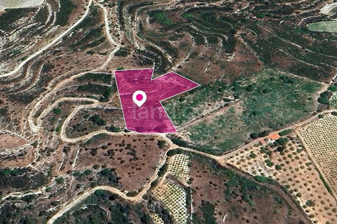 Field for sale in Limassol