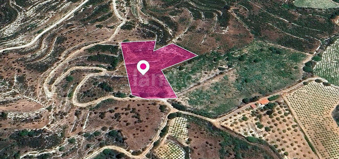 Field for sale in Limassol
